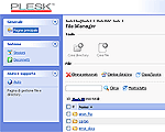 File Manager Plesk
